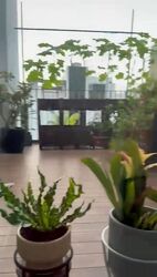 Alana (D28), Terrace #497763531